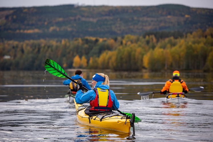 Paddling längs älven