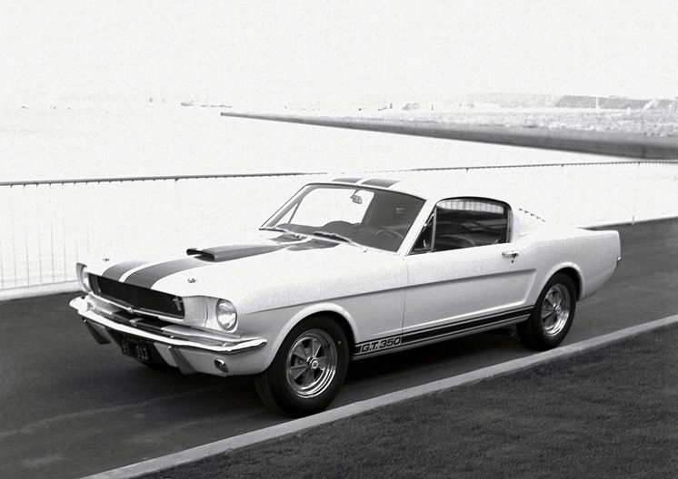 Q5_1965-Shelby-GT350-2