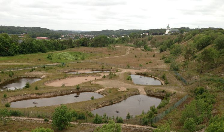 kungsbacka-fjäråsbräcka-adam-folcker.jpg