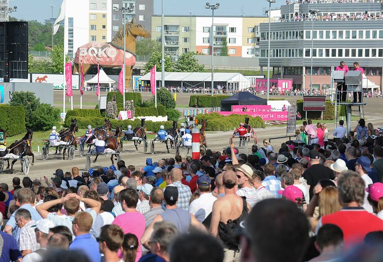 Elitloppet publik