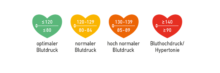 Icons Herz Blutdruck.png