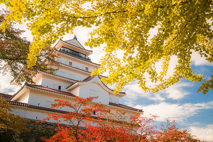 Tsurugajo Castle in autumn