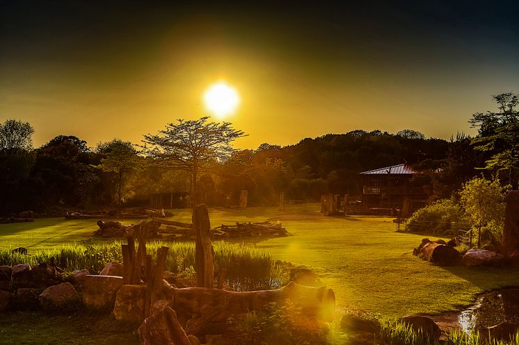 Abenddämmerung über der Kiwara-Savanne im Zoo Leipzig