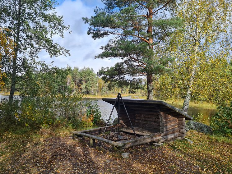 Vindskydd på hösten i Glaskogens Naturreservat Foto Visit Arvika