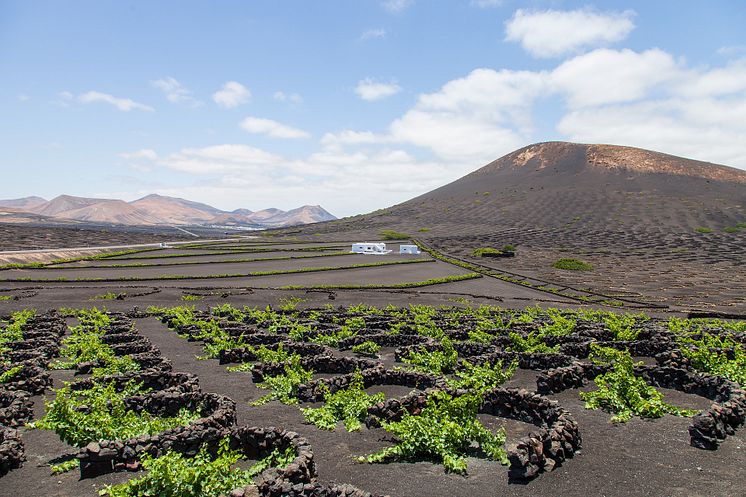 Lanzarote Dimitri Houttemann Pixabay