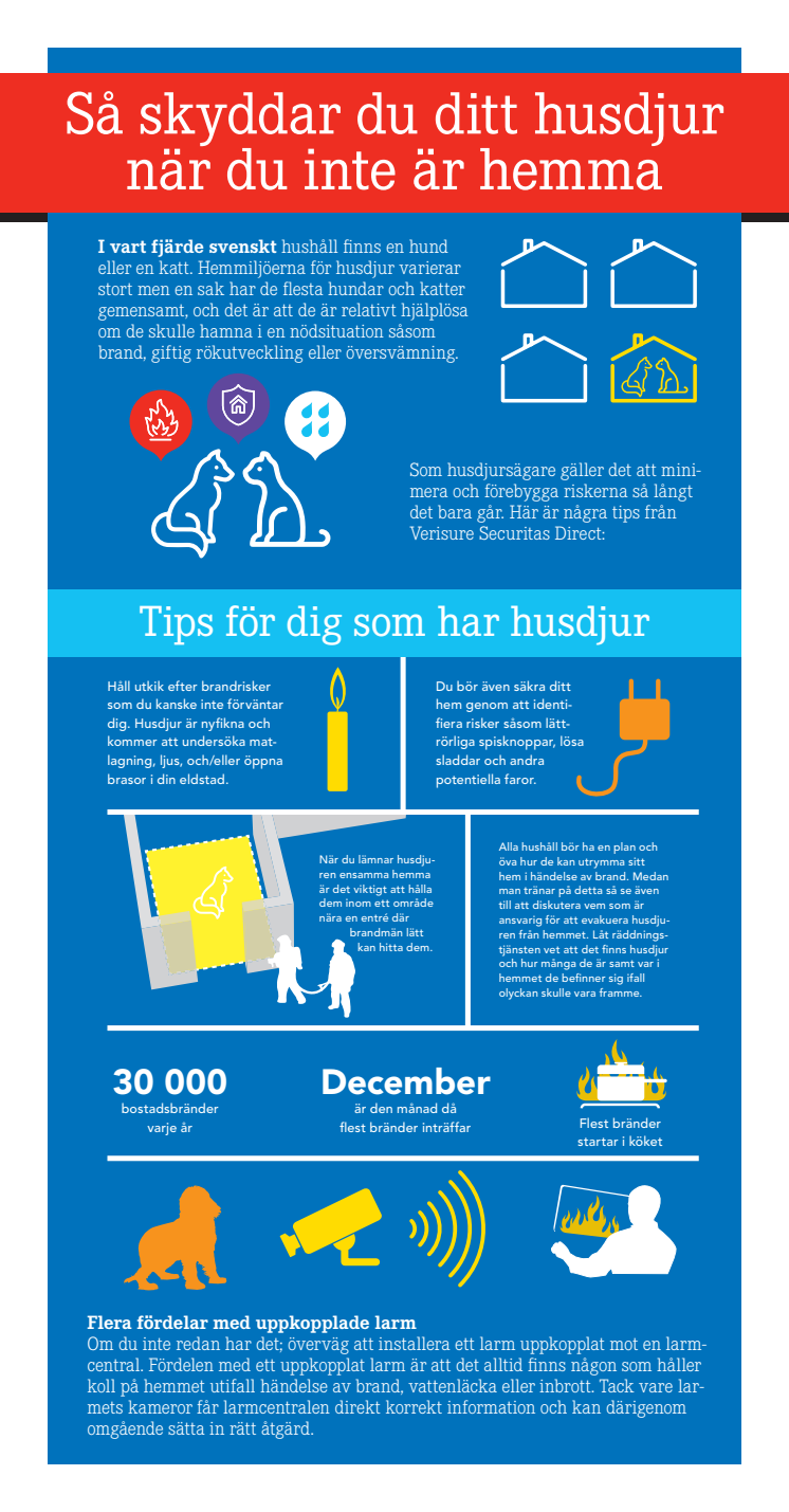 Infographic husdjur