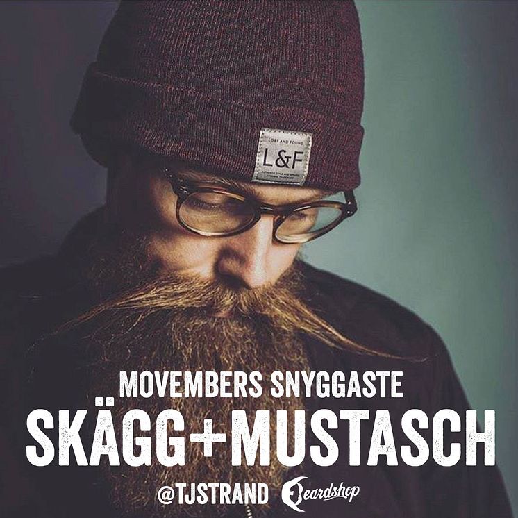 Movembers snyggaste skägg+mustasch