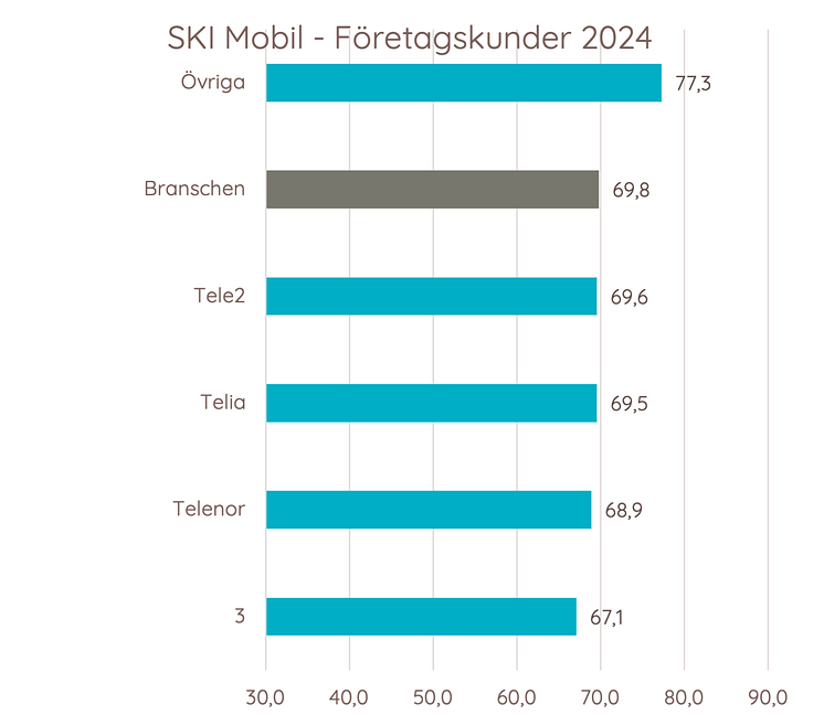 SKI mobil 2024 företagskunder.png