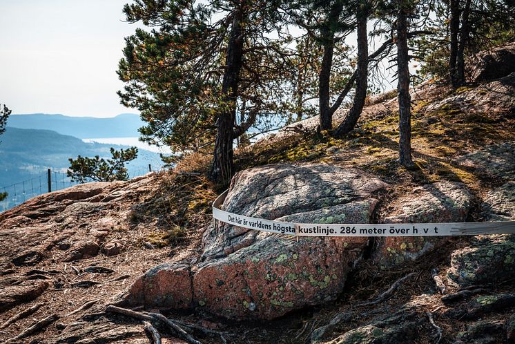 Världens högsta kustlinje