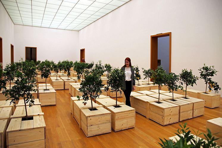 Yoko Ono. PEACE is POWER - Blick in die Ausstellung im Museum der bildenden Künste Leipzig