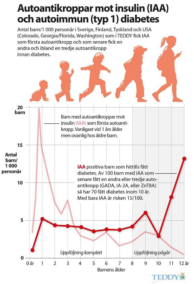 Autoantikroppar mot insulin (IAA) och autoimmun (typ 1) diabetes