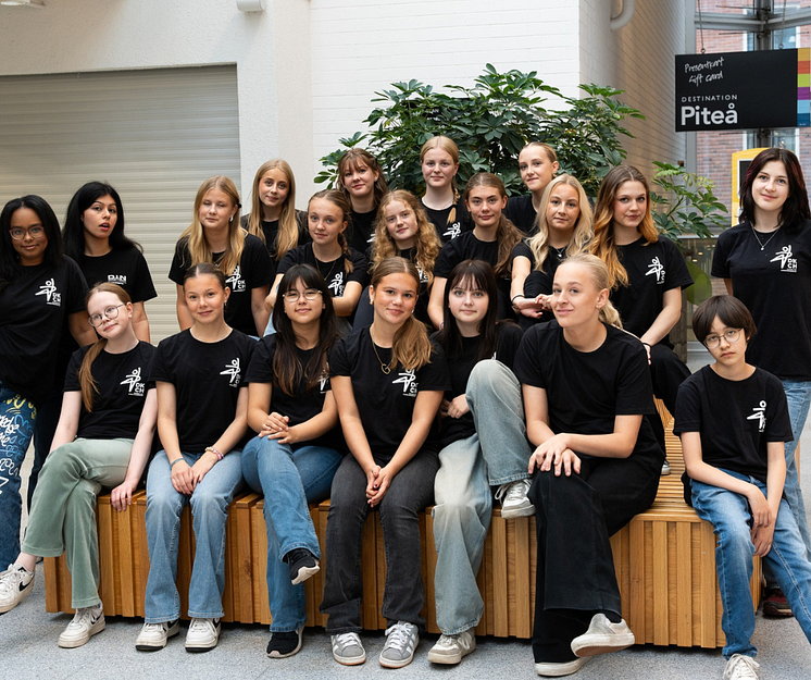 Christinaskolans dansprofil.png