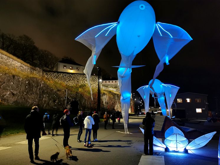 Fjord Oslo festival