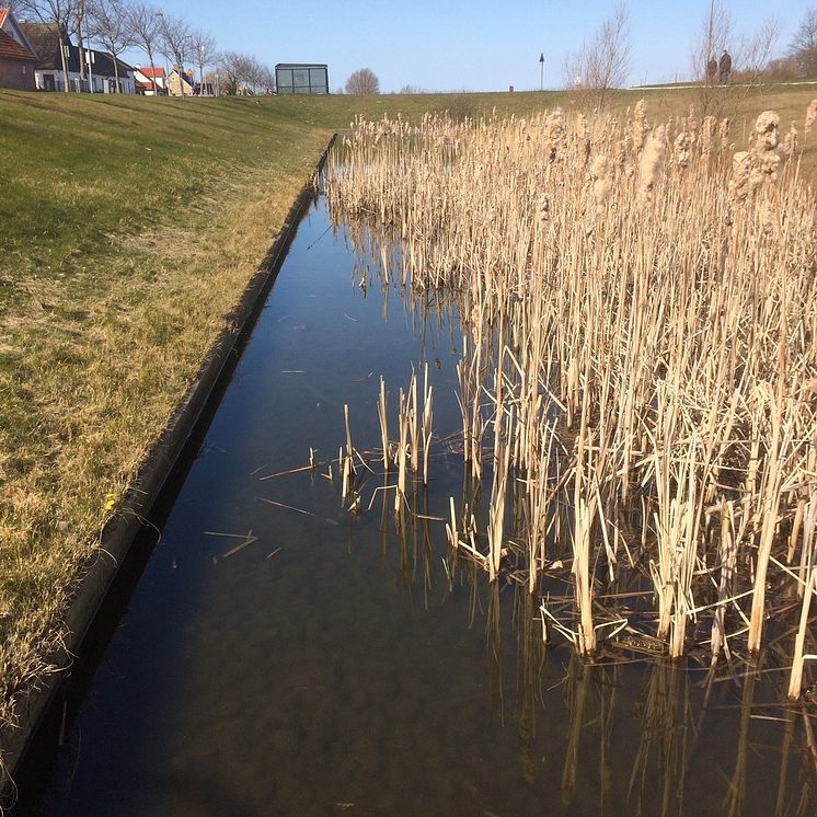 Dagvattenlösning i Bunkeflo, Malmö