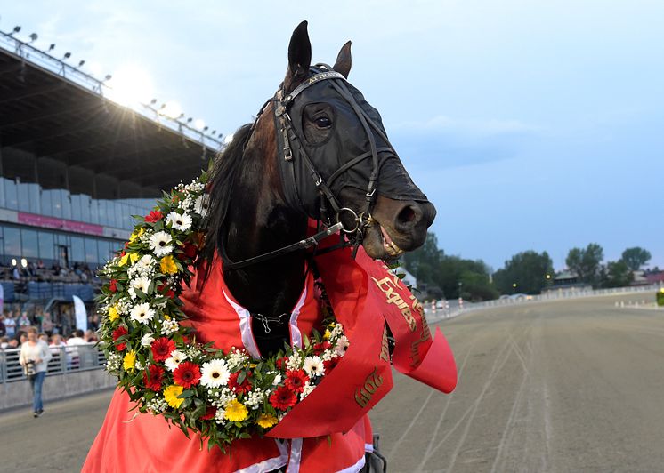 Attraversiamo klar för Elitloppet 2020