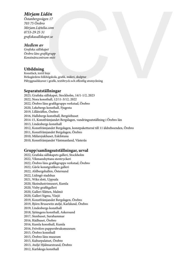 CV2211_konst_mirjamliden.pdf
