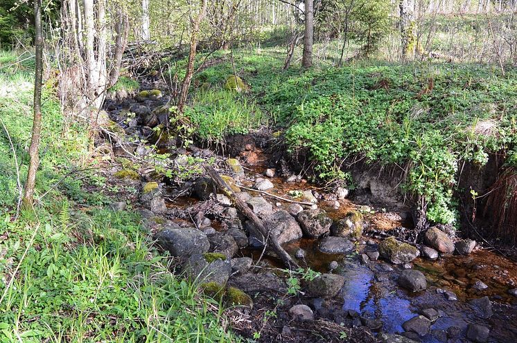 Lurabäcken, vid sjön Viken.