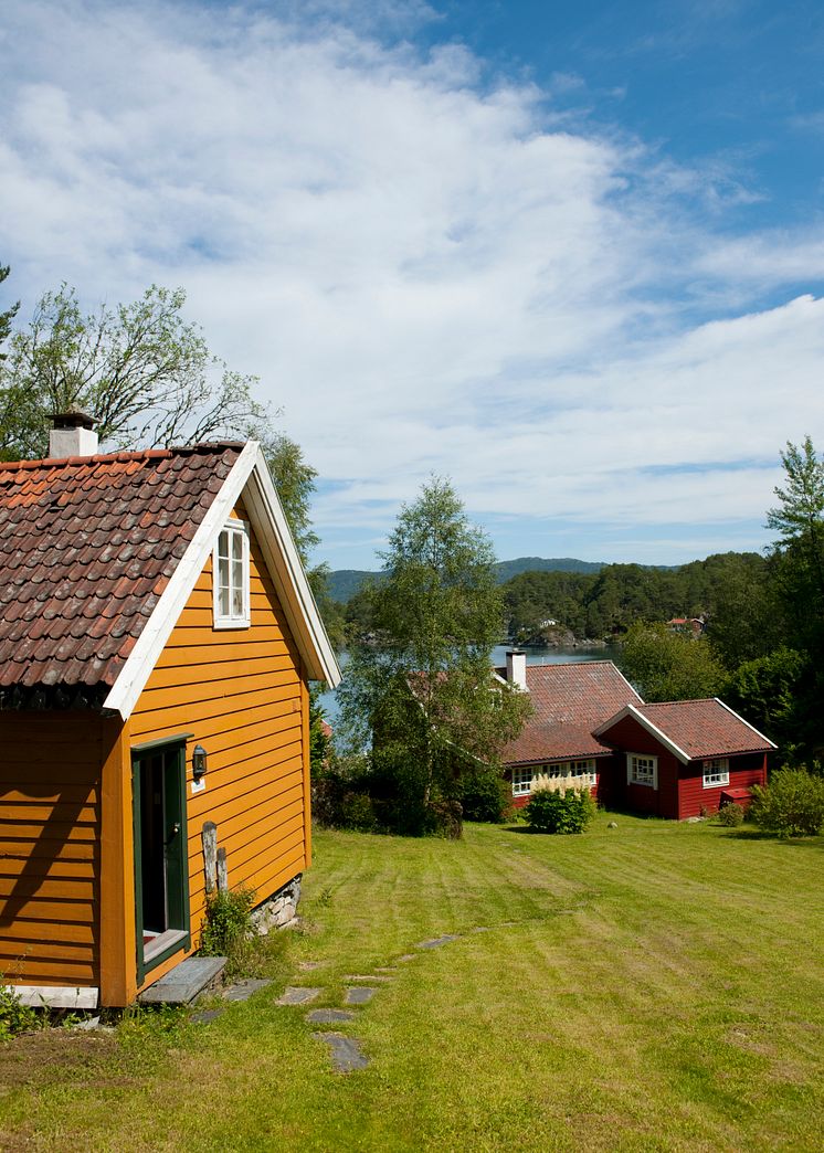 Til kamp mot svertesoppen