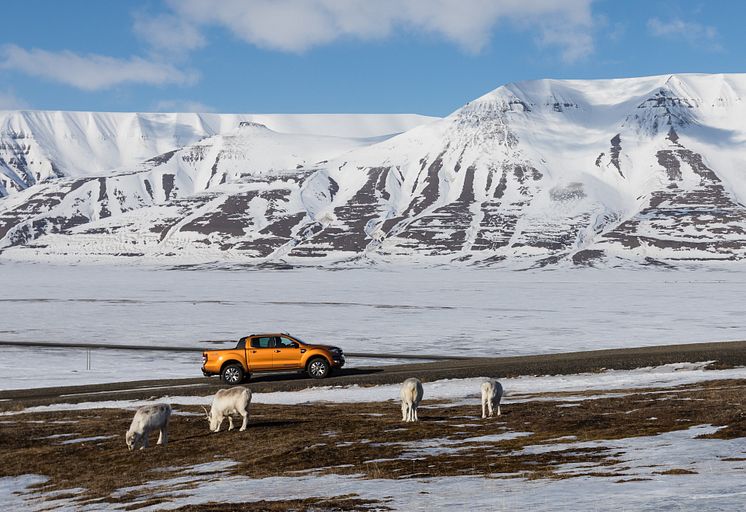 Ford Ranger Svalbard