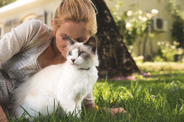 Die Beziehung zwischen Katzen und Menschen ist etwas ganz besonderes, wir teilen unser Leben und all die schönen Momente voller Zuneigung mit ihnen.