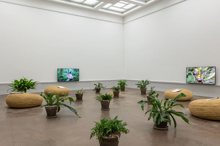 Zheng Bo, Pteridophilia 2, (2018). The Future is ____. 24.09.2022-05.03.2023. Foto: Lili Zaneta / TKM.