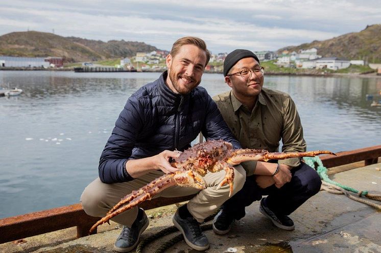 Norsk kongekrabbe har blitt "kjendis" i Sør-Korea