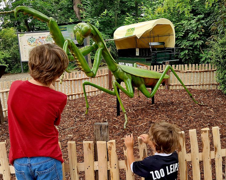Zoo Leipzig: Sonderausstellung "Winzige Giganten"