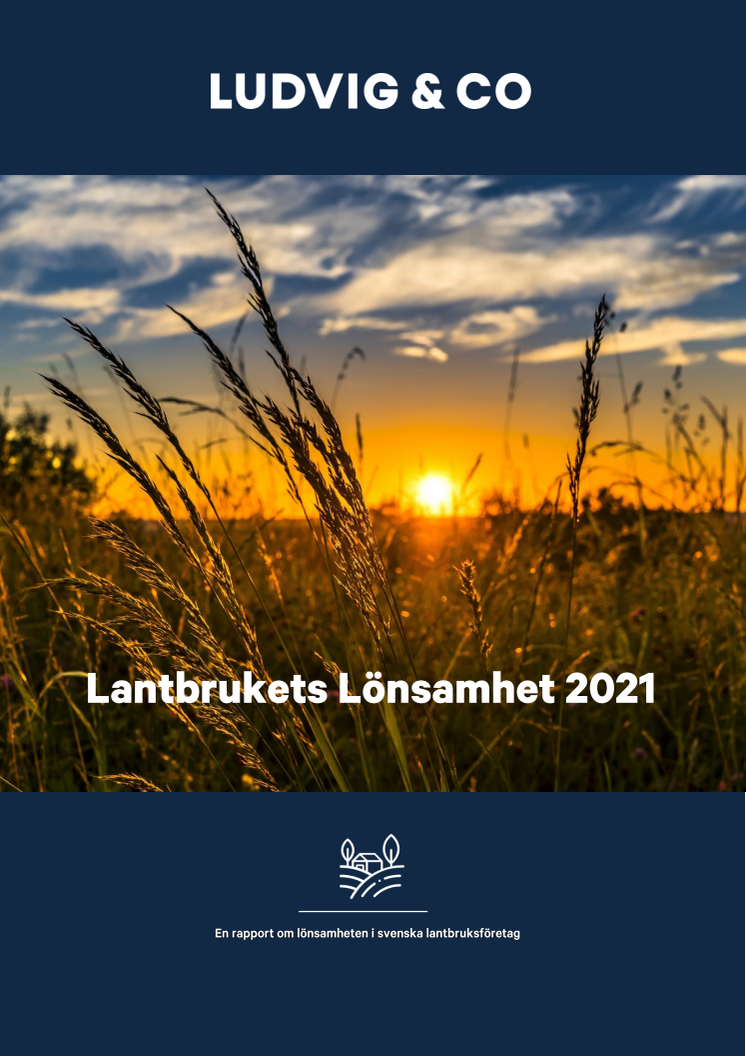 Rapporten Lantbrukets Lönsamhet 2021.pdf