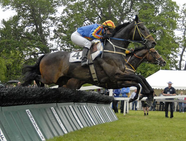 Ett av sexton hinder på Svenskt Grand National