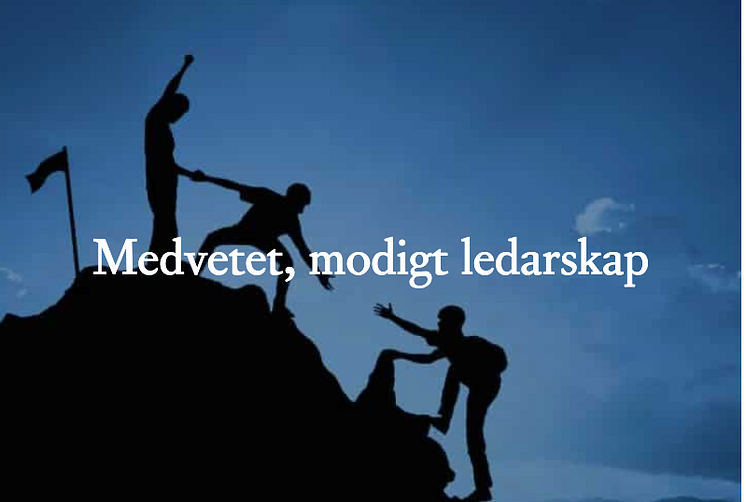 Medvetet modigt ledarskap