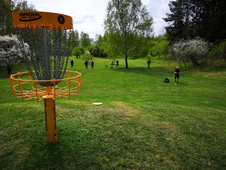 Järva DiscGolfPark - rekreation i världsklass