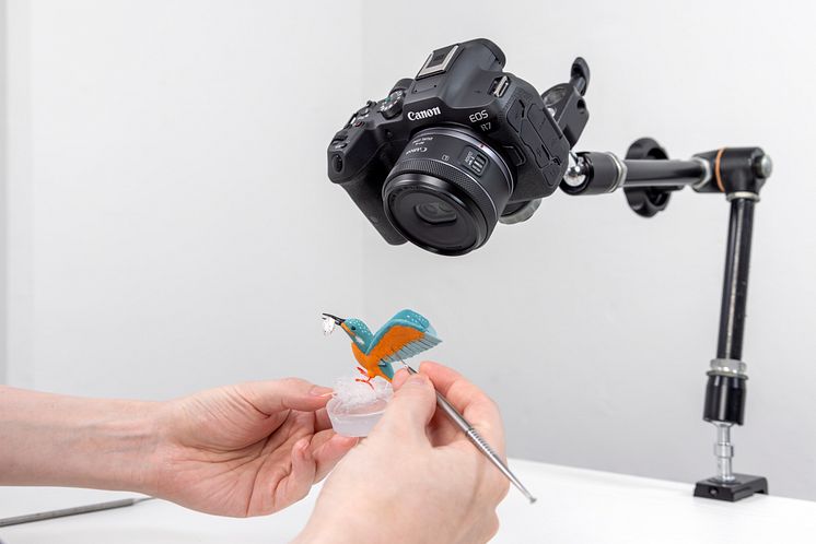 RF-S 7.8mm F4 STM_Lifestyle image_240619_181.jpg