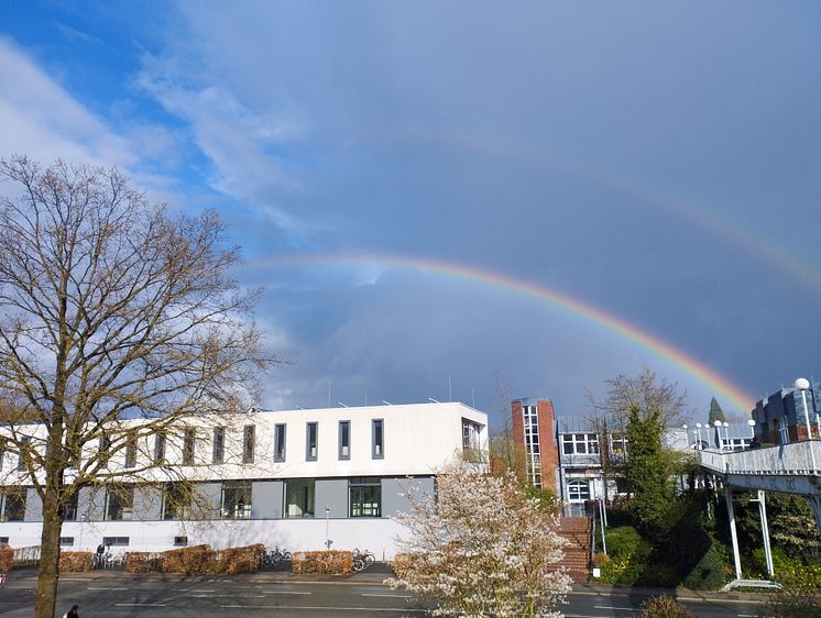 Universität Vechta in Topgruppe beim „Hochschulranking nach Gleichstellungsaspekten 2025“ des CEWS
