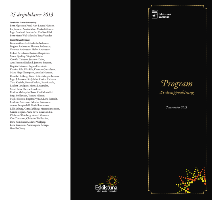 Program 25-års 2013