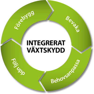 Logotyp-IPM