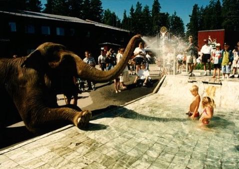 Elefant pool.jpg