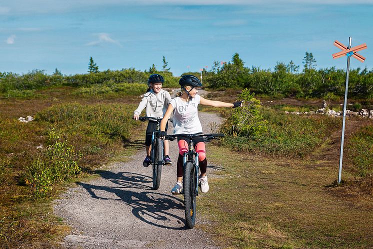 teen camp_bike_OM.jpg