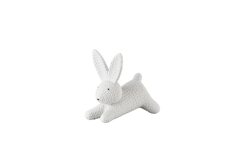 R_Rabbits_White_Hare_medium
