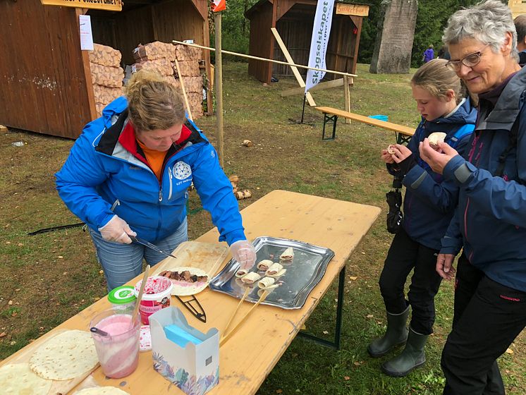 Villsvinseminar på jakt- og fiskdagene