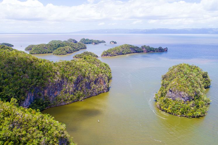 Los Haitises National Park Tour