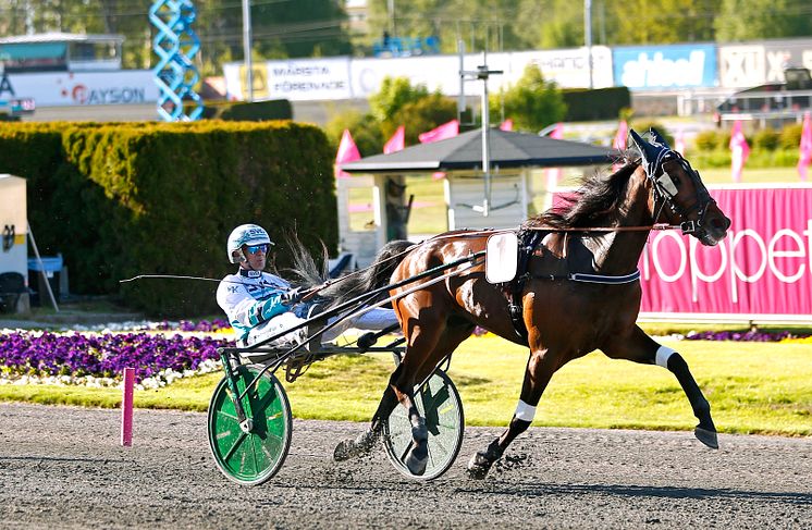 Seismic Wave klar för Elitloppet 2021