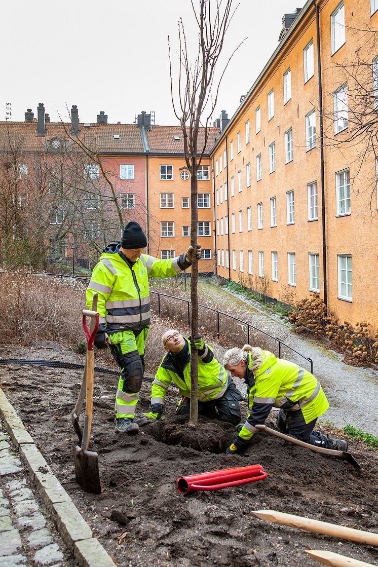 Utemiljögruppen_Bälgen-6-SKB_Foto Karin Alfredsson