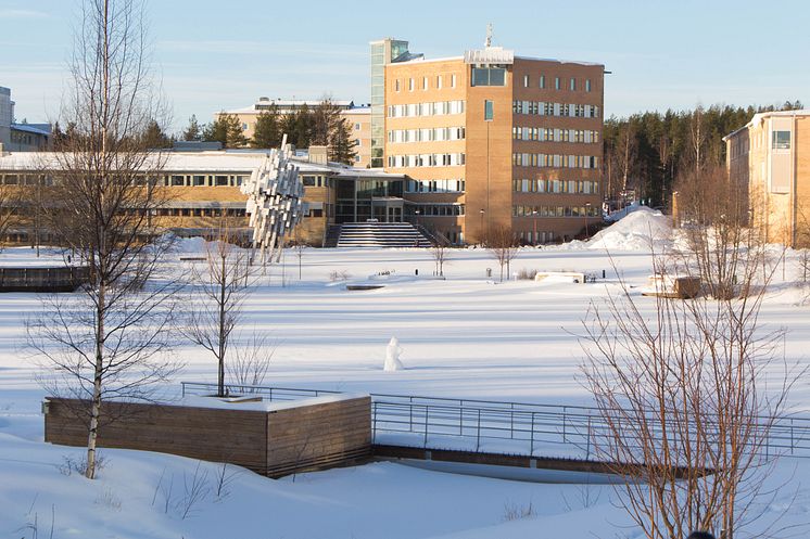 Vinter Campus Umeå universitet