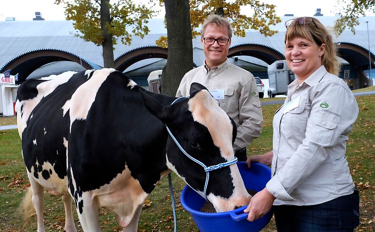 Nötfor  - Elmia Lantbruk Djur & Inomgård 2015