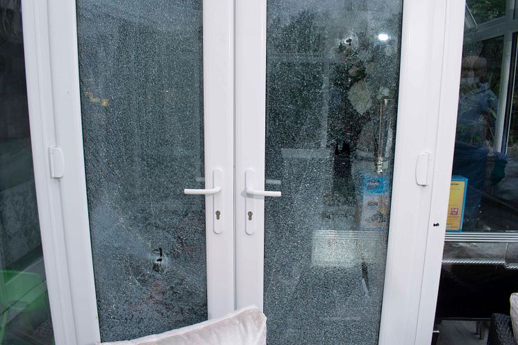 Damage to kitchen door 2.jpg