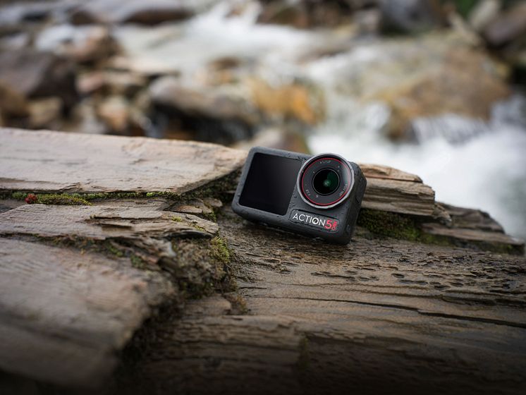 Osmo Action 5 Pro_Lifestyle Photos_tree stump.jpg