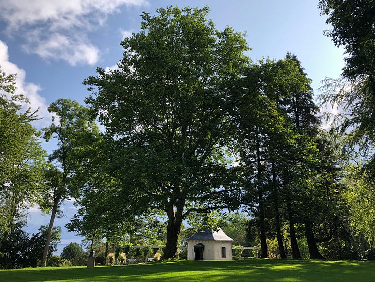 Österländska trädgården