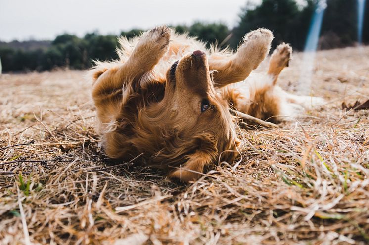 michael-oxendine-t7wwffh6x8E-unsplash