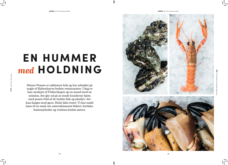 Artikel: En hummer med holdninger