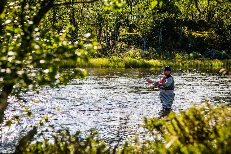 Fiske i Lofsdalen